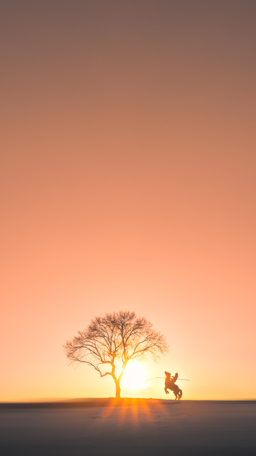 独行侠第三节三分雨浇灭国王!布克末节19分亲手终结悬念