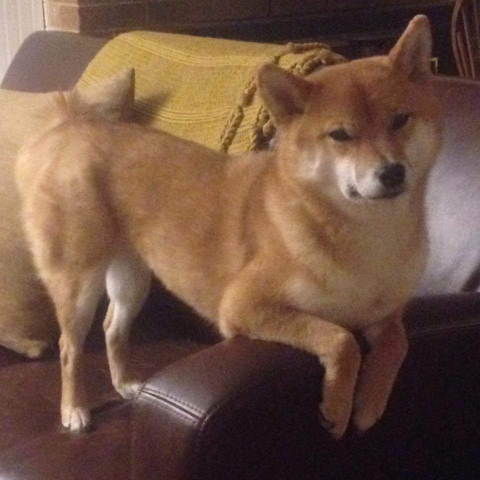 后仰，当硬仗之王遇见压哨的青铜古镜