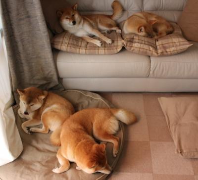 塔楼上的国王，当魔术师的羽毛笔在F1棋盘上起舞