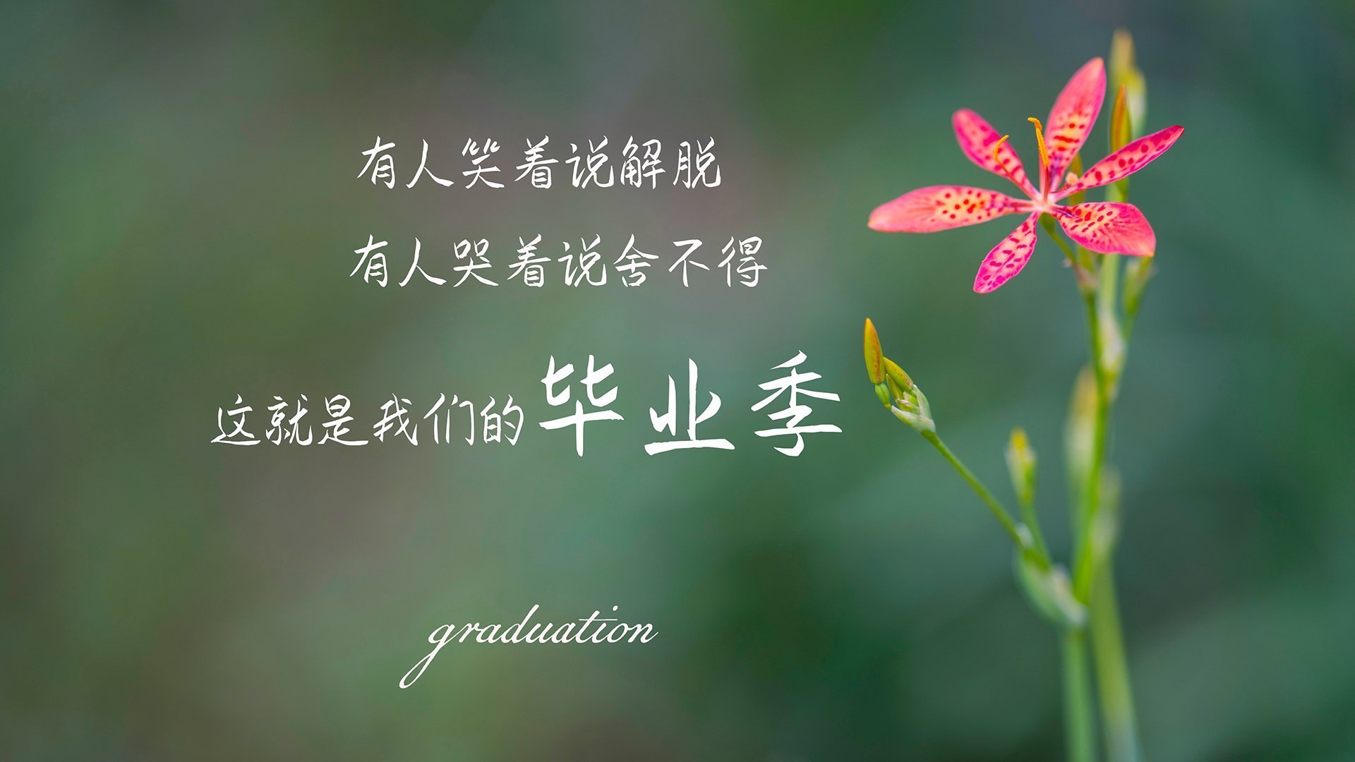 意甲焦点战，墨西哥英雄导演惊天翻盘，尼斯梦碎亚平宁