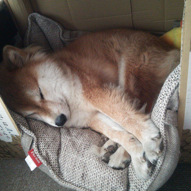 冰岛与哥斯达黎加的节奏困局，为何福登成为唯一解钥？