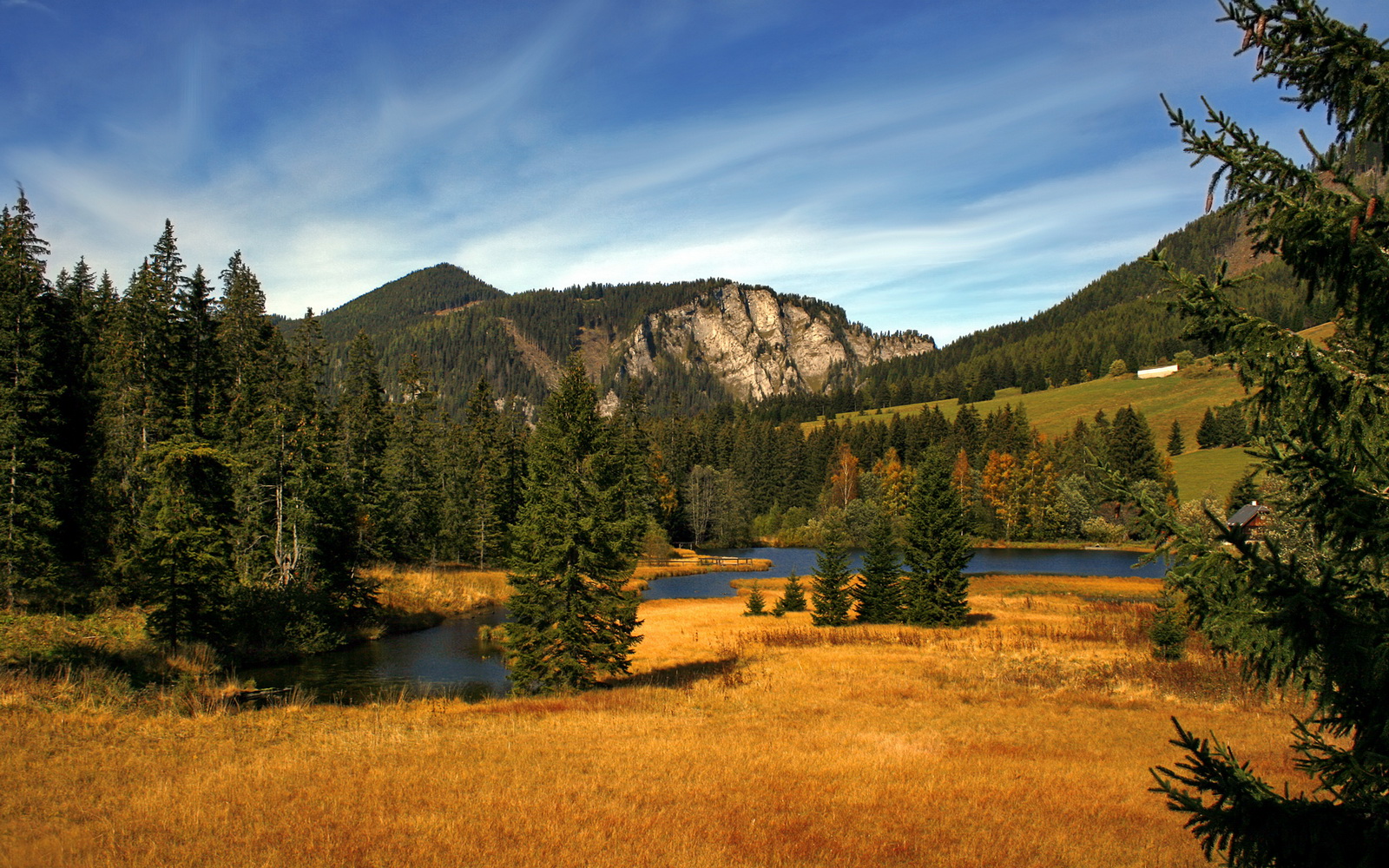奥兰多魔术对上海大鲨鱼，一场跨越时空的东决焦点战