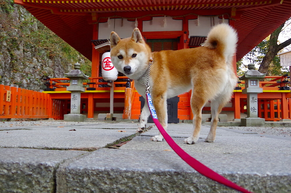 从替补到救世主，欧冠终场哨响前，欧文的166秒拯救了一个时代