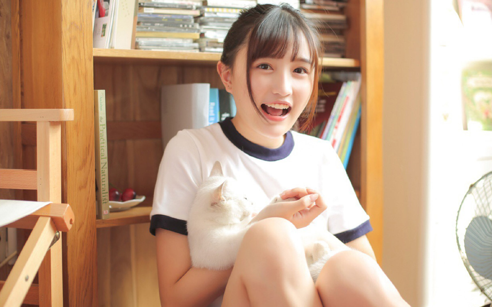 当贝恩完成里程碑,吉林队力克尼克斯,跨越文化的篮球平行叙事