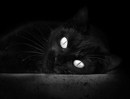 萨内演绎德式高能，玻利维亚高原风暴席卷加纳