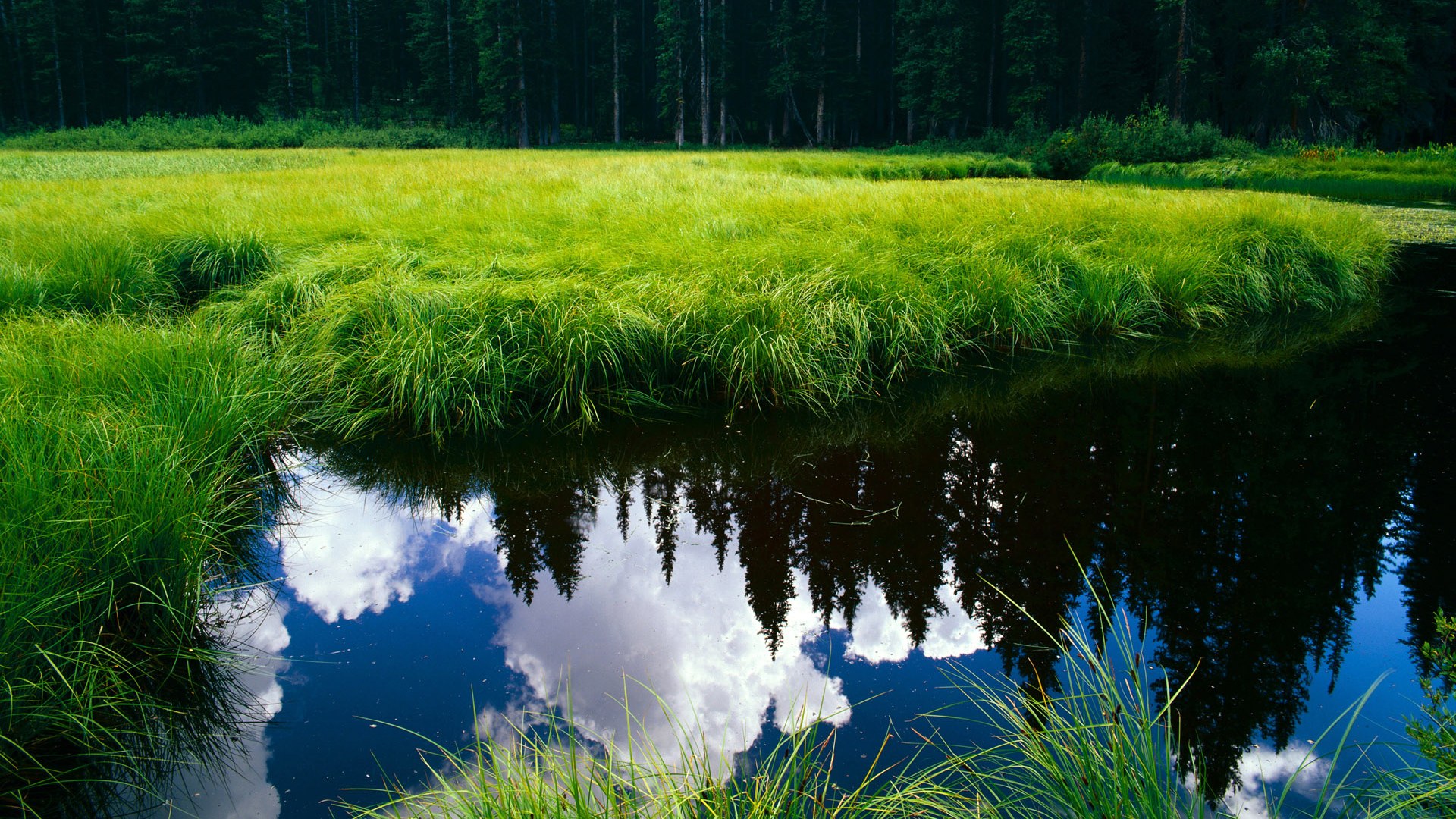 体育周末的焦点，F1新赛季启航，阿尔及利亚足球压制那不勒斯