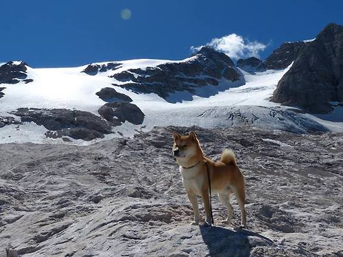 夜魔觉醒！布鲁诺3连斩粉碎卫冕冠军，悬念一夜拉大？