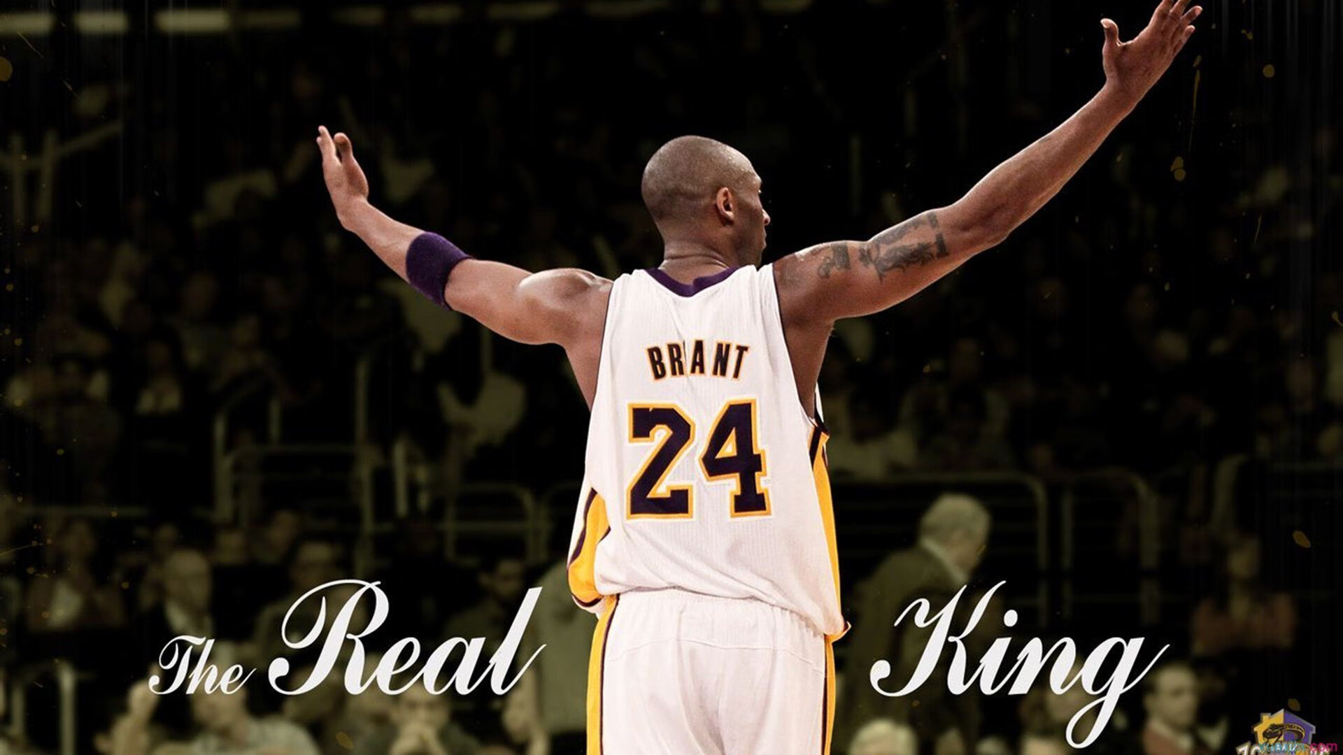 德罗赞寒流席卷上海滩，海派篮球稳稳锁住猛龙风暴