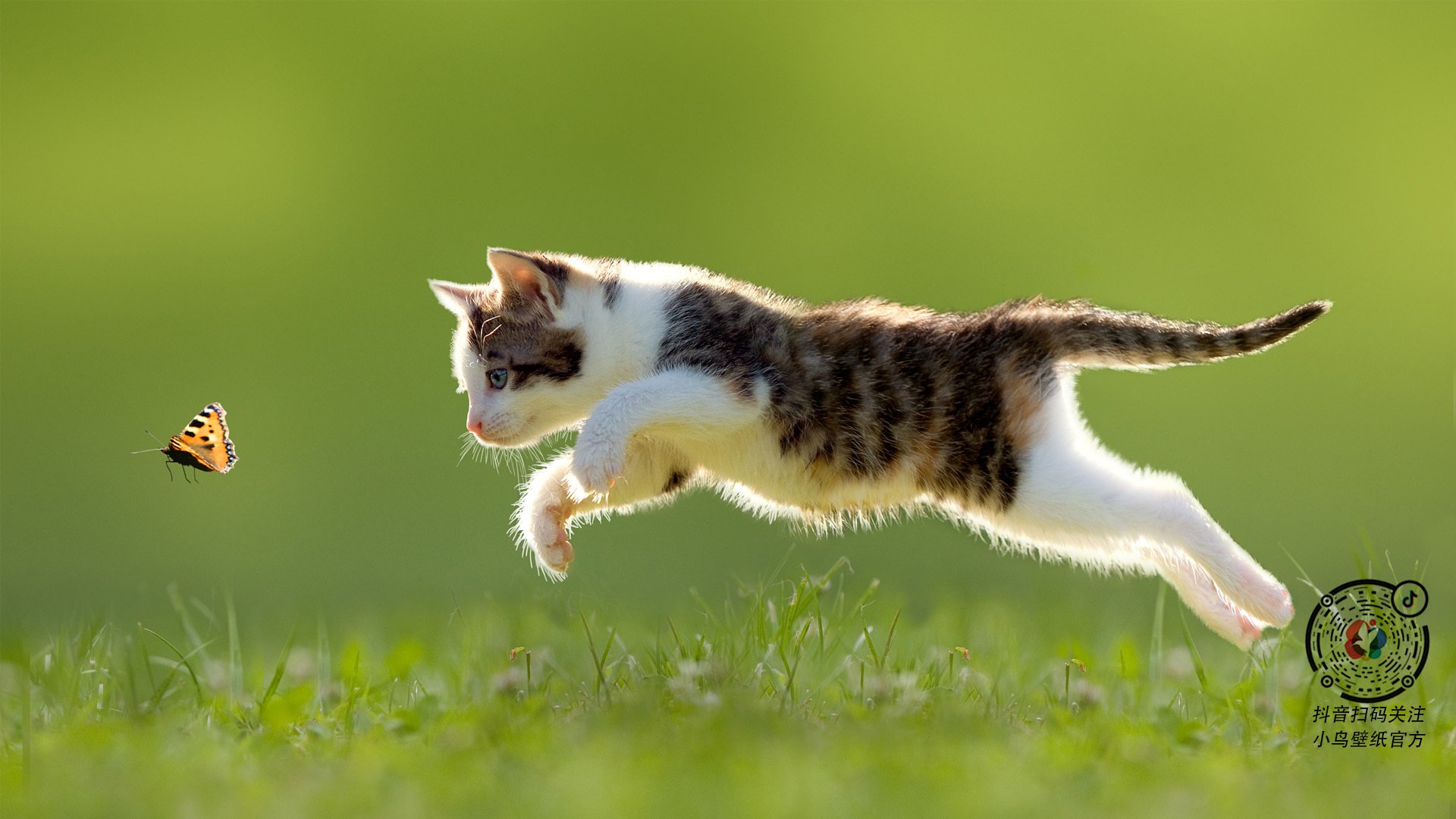 唯一性的褶皱，当勒沃库森绝平遇见湖人绝杀—偶然褶皱里惊现的时代必然