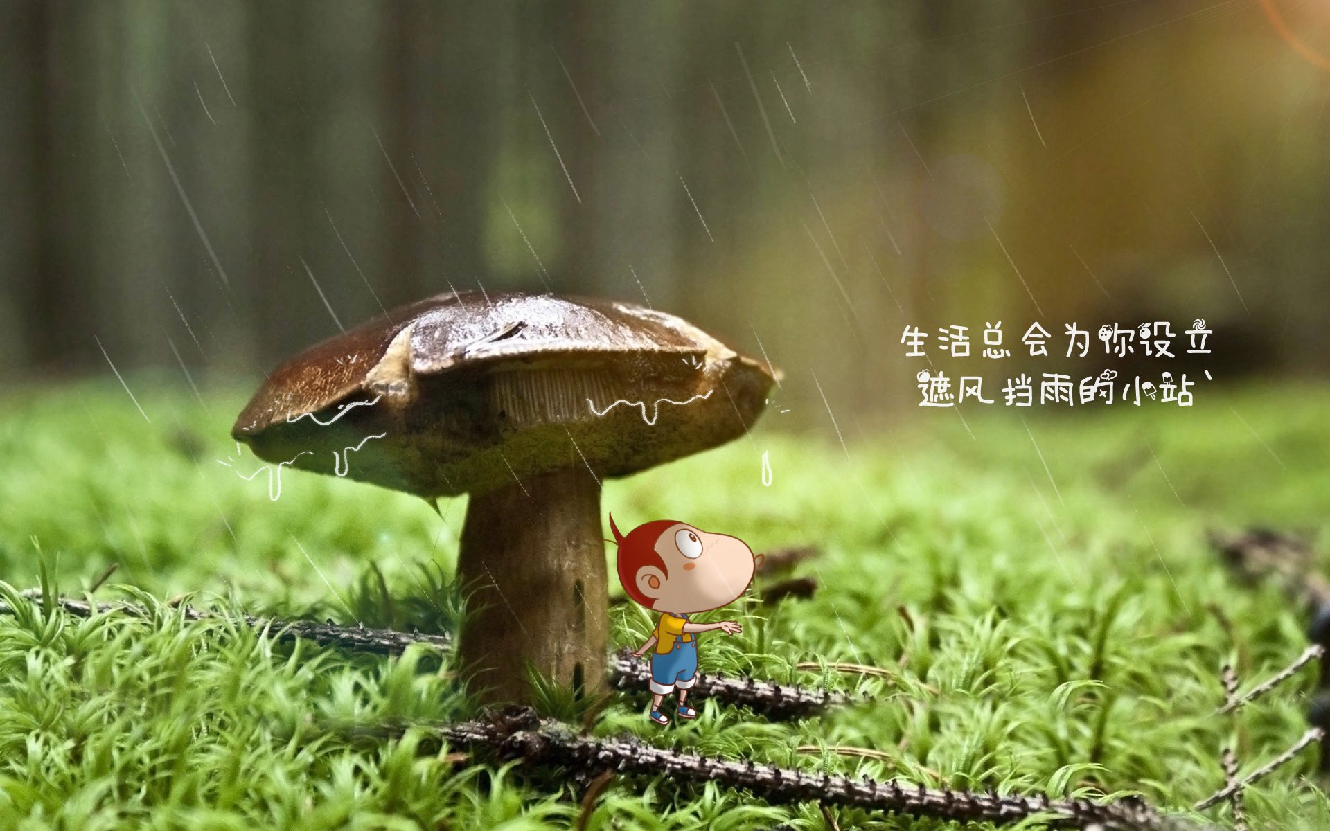 首先,我们扩展思维,拟定一个兼具故事性与新闻性的标题