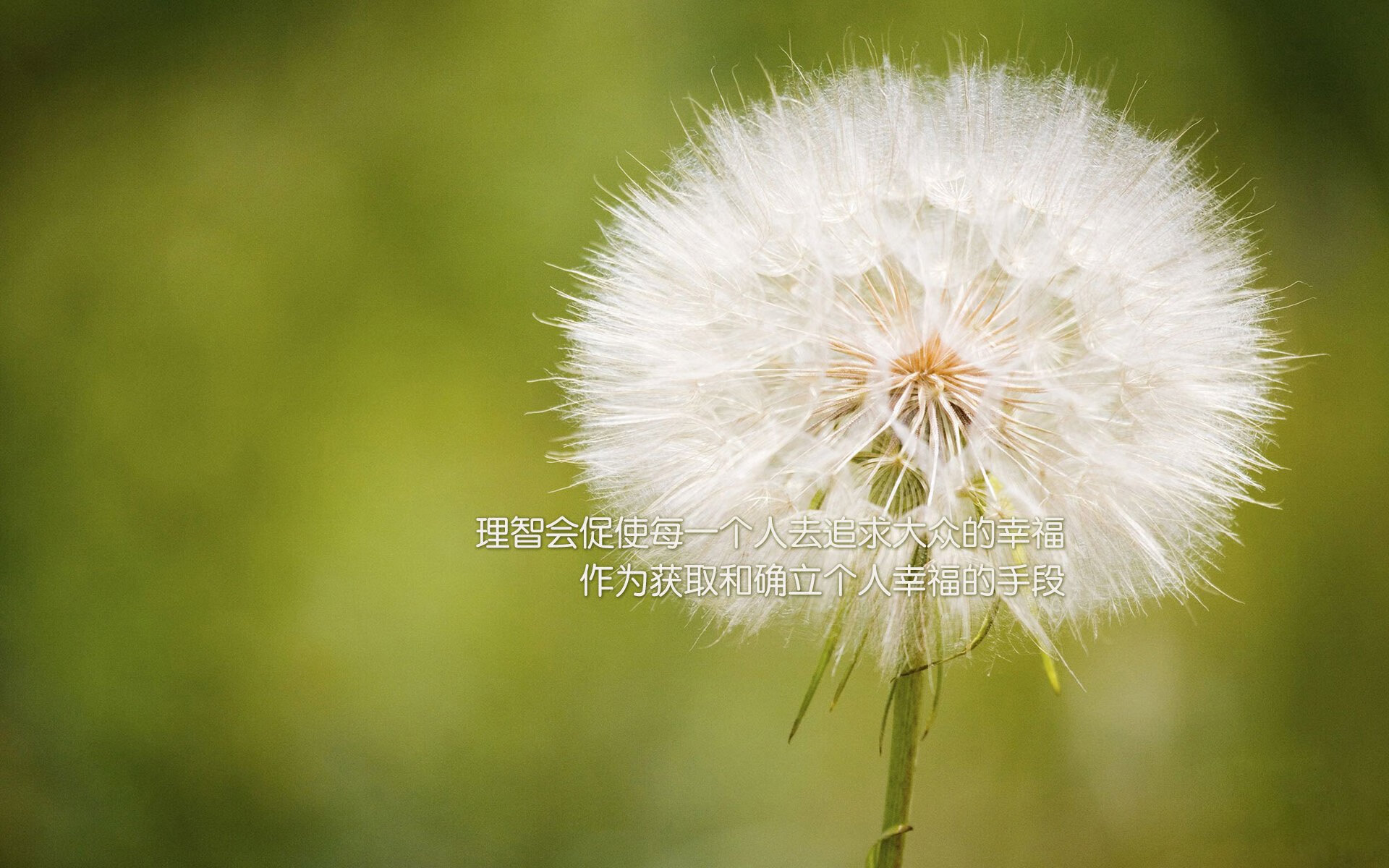 我将围绕逆转与破局的核心,为您构思并撰写这篇文章