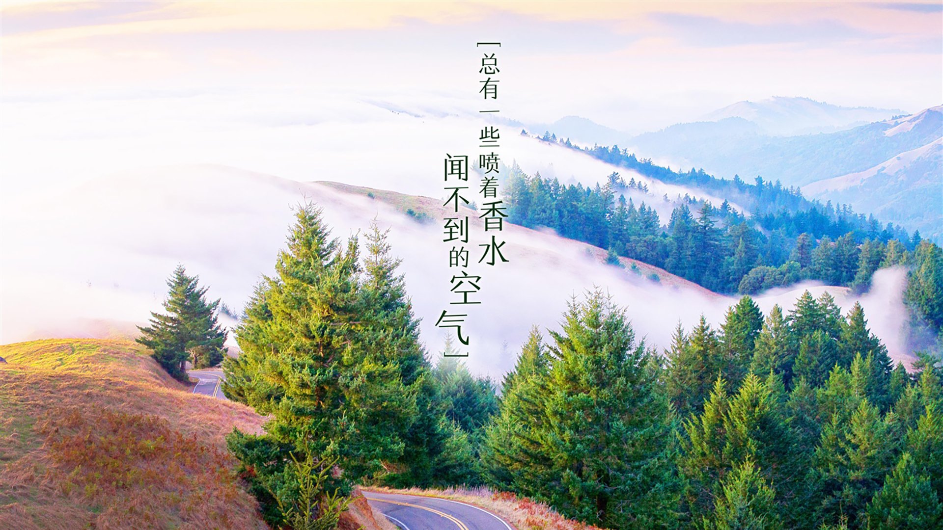 唯一性,当法兰西的坚韧遇见穆西亚拉的璀璨,定义H组的永恒瞬间