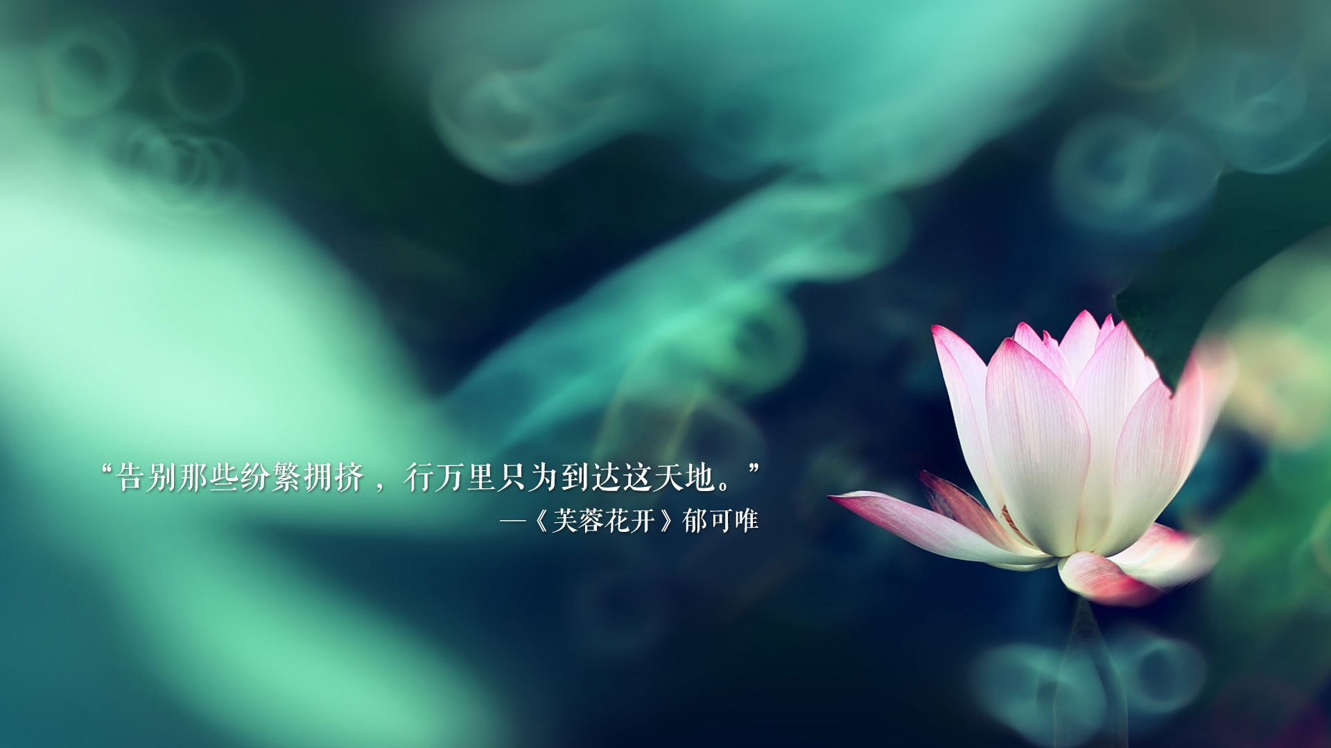 南美之光破晓,秘鲁的冷门,萨卡的独角戏,2026世界杯C组唯一性解码